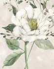 Garden Elegance I Art Print