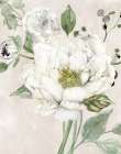 Garden Elegance II Art Print
