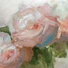 Peachy Peony