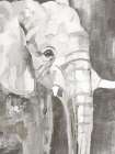 Zen Elephant Art Print by Nan