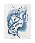 Navy Kelp II