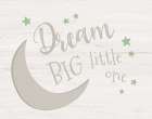 Dream Big Moon