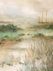 Sandy Seagrass Shores