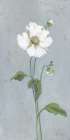 Flower Portrait with Gold II Minimalist Print