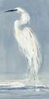 Great White Egret II Art Print