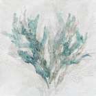 Calm Coral I Art Print