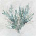 Calm Coral II Art Print