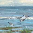 Dunlin Beach I Art Print