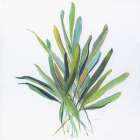 Tropical Leaves I