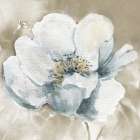 White Washed Beauty I Art Print