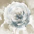 White Washed Beauty II Art Print