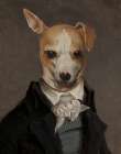 Refined Fido Art Print