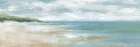 Sweeping Coastal Expanse Art Print
