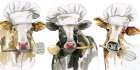 Chef Cow Trio Art Print