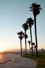 Santa Monica Path Art Print