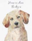 Dog Home Art Print