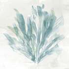 Sea Coral I Art Print