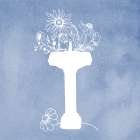Floral Silhouette III Art Print