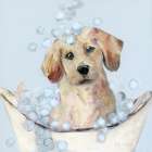 Bubble Paws I Art Print