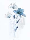 Blue Stems I Art Print