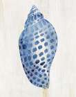 Shell I Art Print