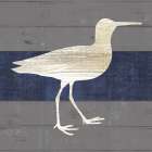 Sandpiper Art Print