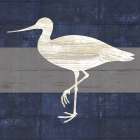 Greenshank