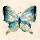 Watercolor Butterfly II Art Print