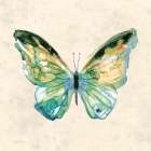 Watercolor Butterfly III Art Print