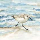 Sandpiper I