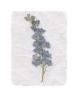 Decoupage Floral I