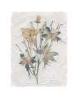 Decoupage Floral IV
