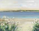 Tranquil Cove Art Print