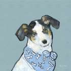 Adorable Dog II