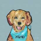Adorable Dog III