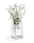 Mason Greenery I Art Print