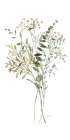 Greenery Botanical II Art Print