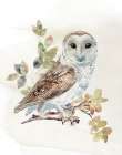Watercolor Owl I Art Print