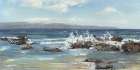 Rocky Coast Art Print