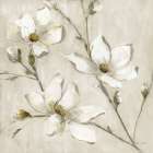 Magnolia Glimmer I Art Print