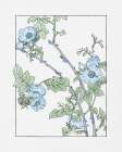 Vintage Summer Botanical II