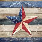 Land of the Free and Home of the Brave Art Print