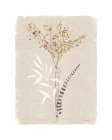 Dried Foliage I Art Print