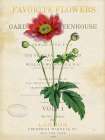 Anemone Art Print