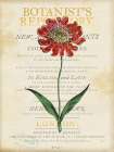 Scabiosa Art Print