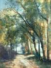 Lane Through the Trees Art Print
