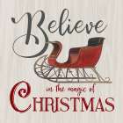 Believe Art Print