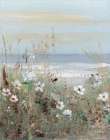 Wildflower Coastline III Art Print