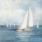 Sailing Regatta II Art Print