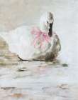 Pink Swan Art Print